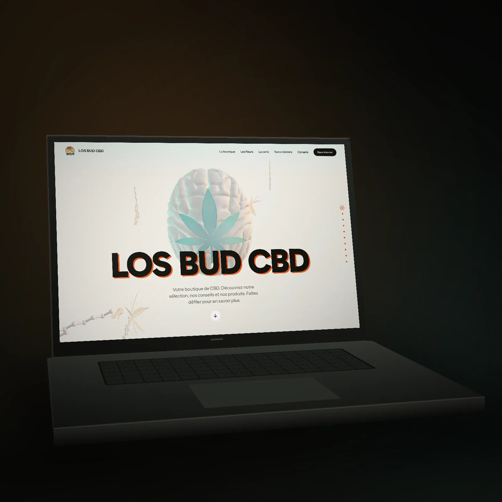 LOS BUD CBD — site créé par AMWebDesigner