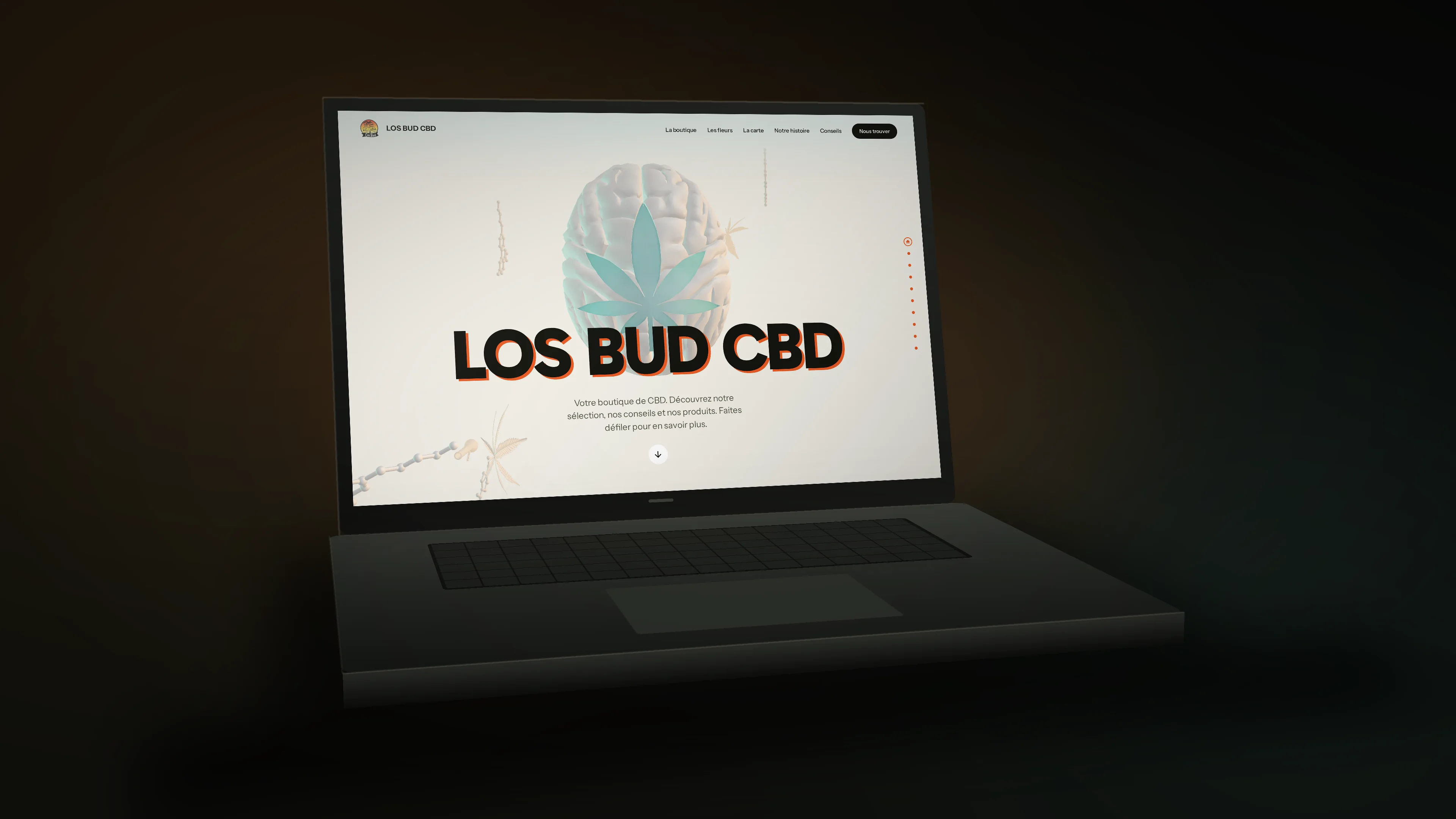 LOS BUD CBD